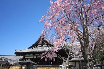 安倍文殊院