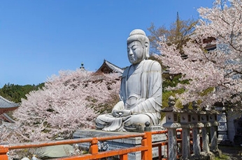 壺阪寺